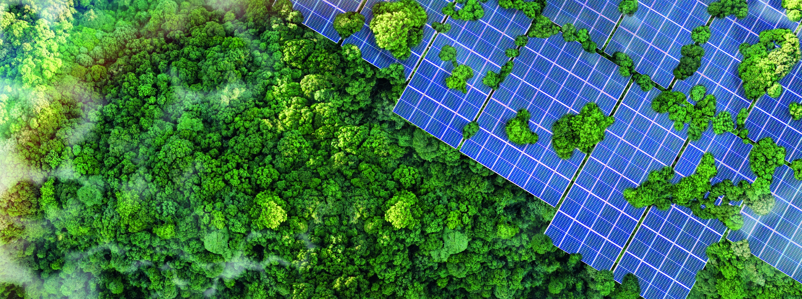 Solar panels installed in the green forest, clean alternative energy concept, sustainable energy, environment, solar power, generator