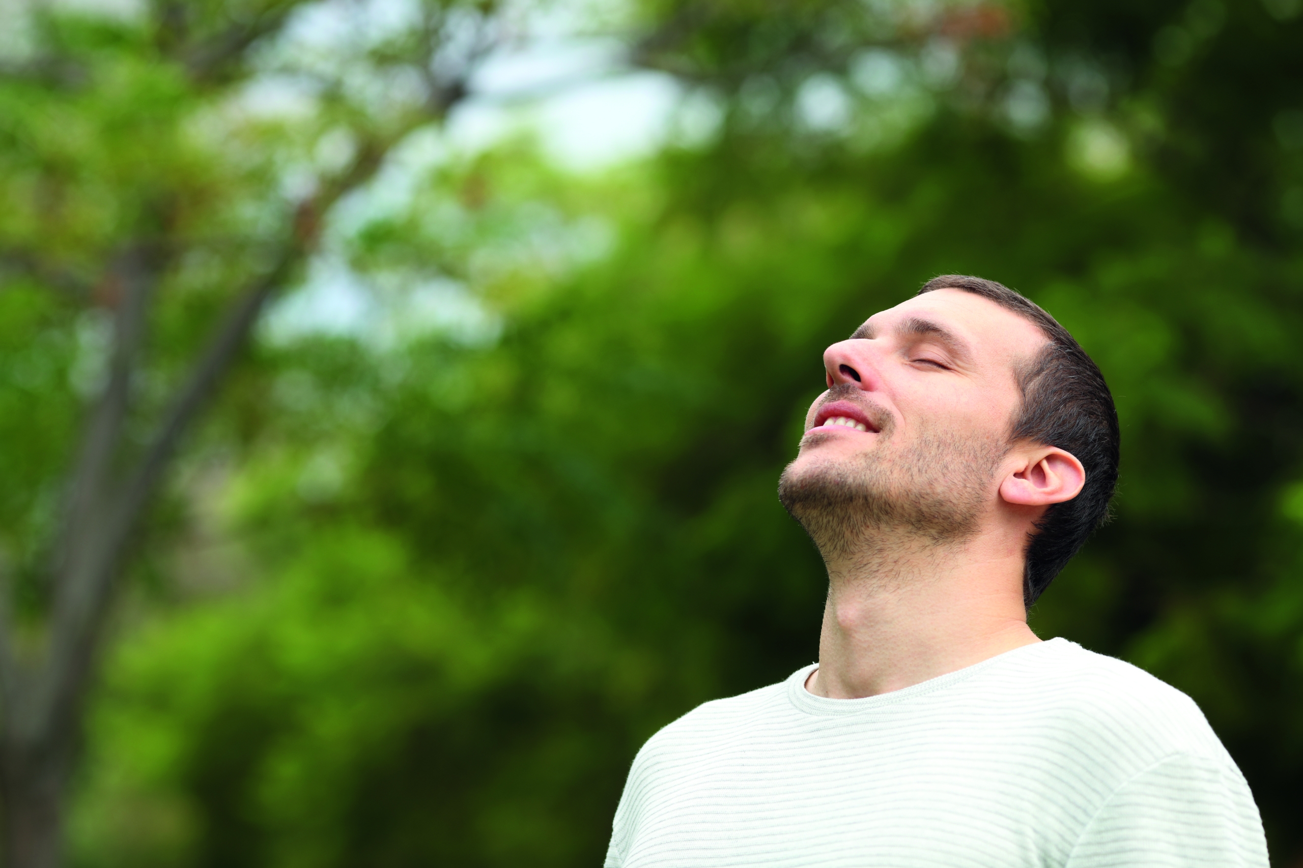 Happy man breathing deeply fresh air in a forest